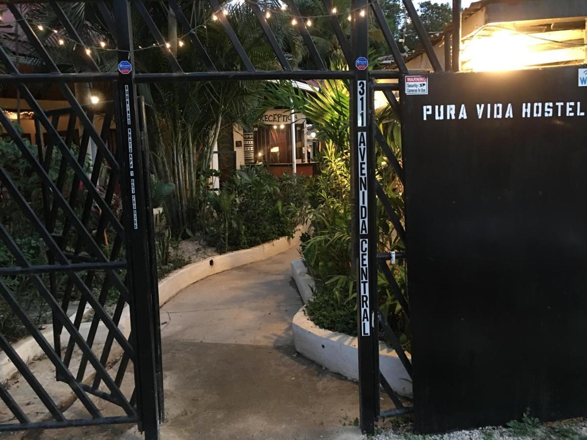 טמארינדו Pura Vida Hostel מראה חיצוני תמונה