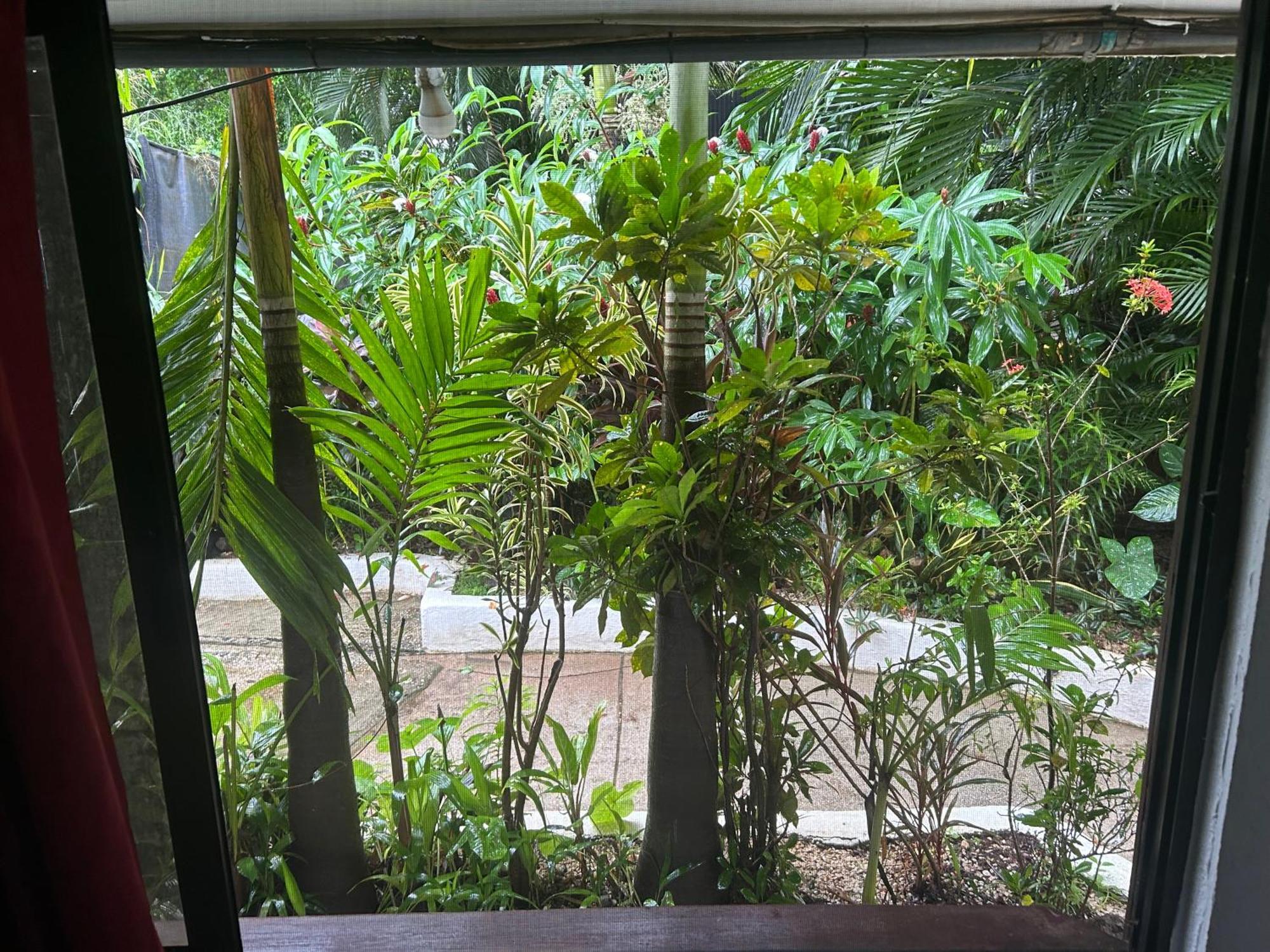 טמארינדו Pura Vida Hostel מראה חיצוני תמונה
