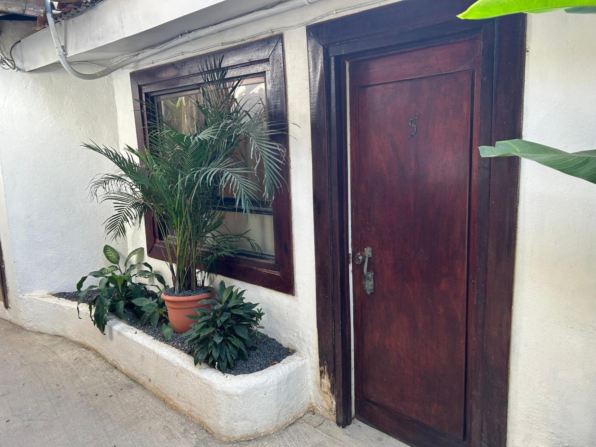 טמארינדו Pura Vida Hostel מראה חיצוני תמונה