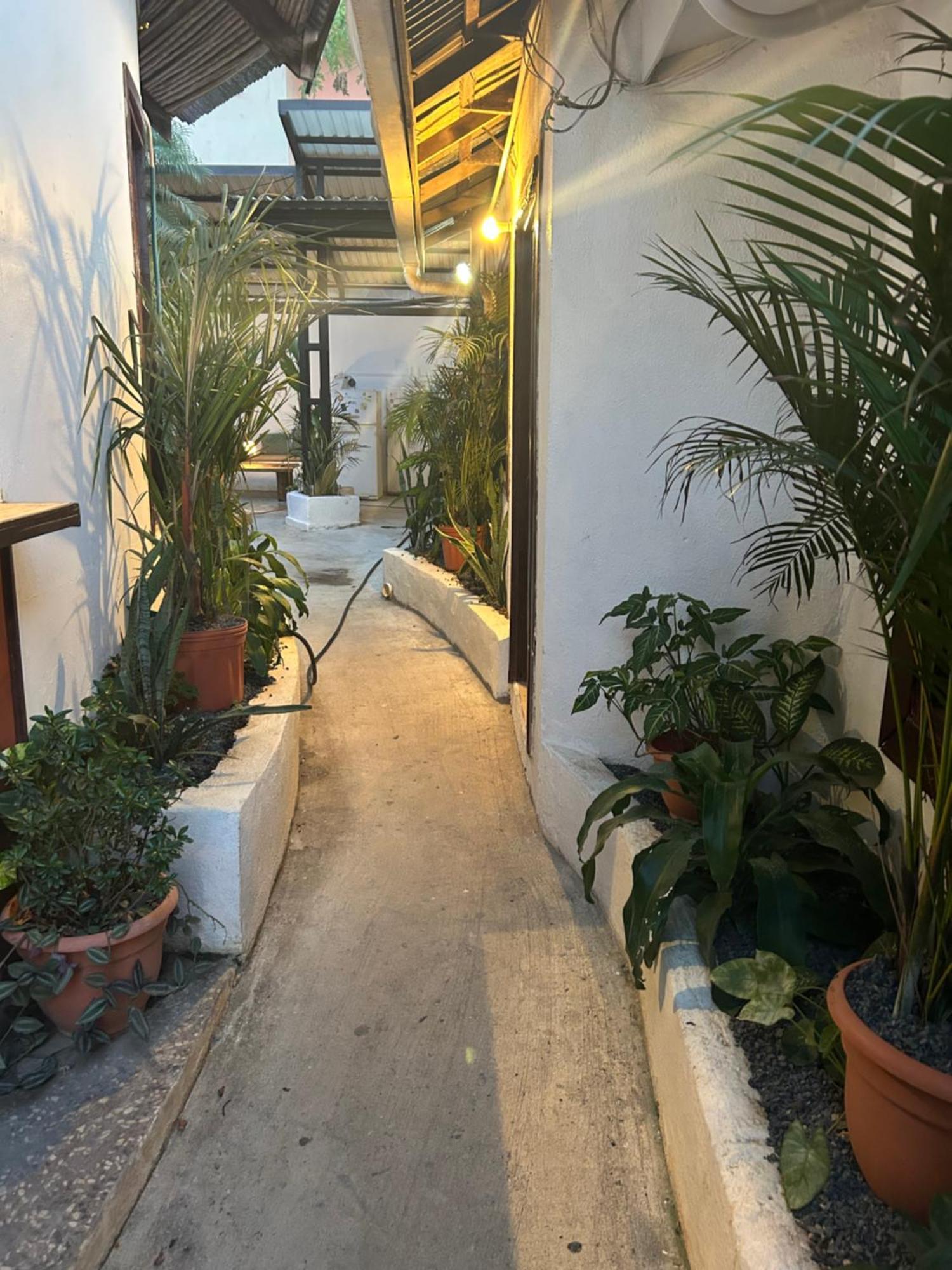 טמארינדו Pura Vida Hostel מראה חיצוני תמונה