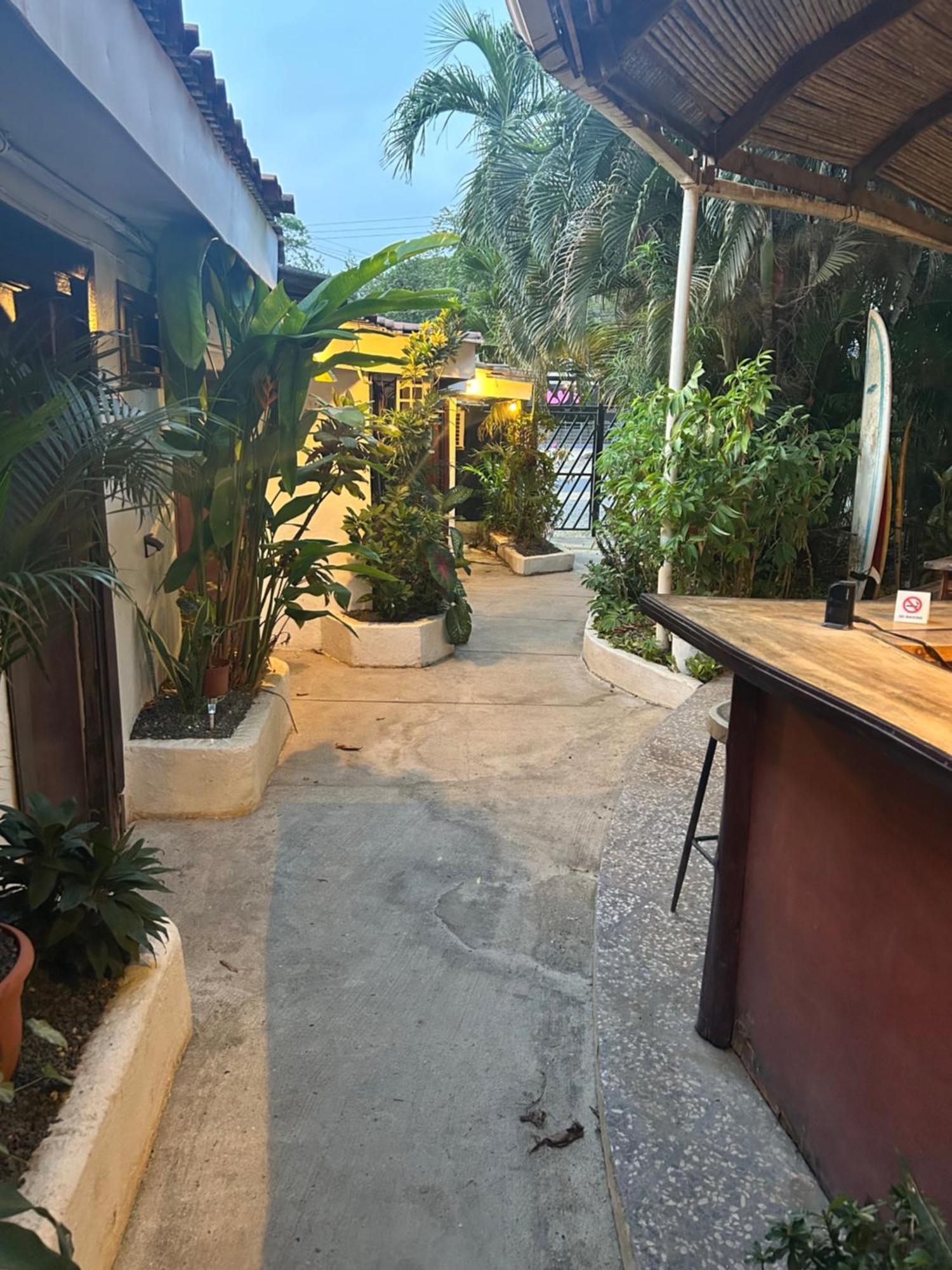 טמארינדו Pura Vida Hostel מראה חיצוני תמונה