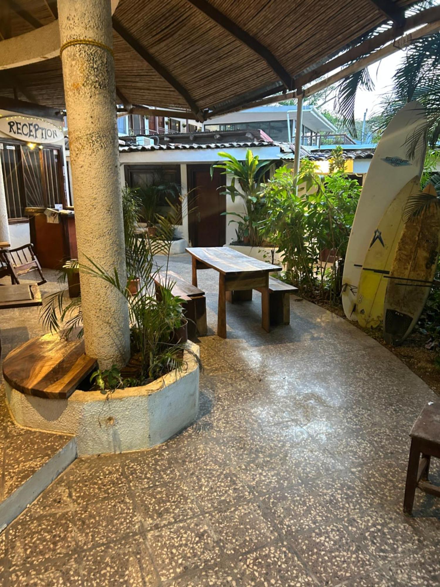 טמארינדו Pura Vida Hostel מראה חיצוני תמונה
